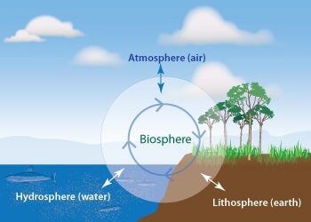 Biosphere